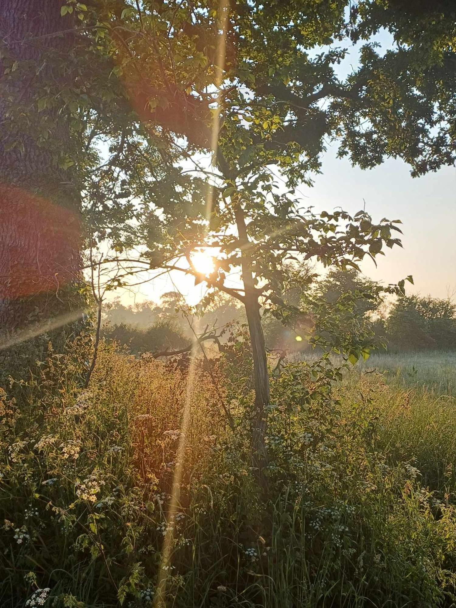 Bed and Breakfast Auxais Memory 44' Exteriér fotografie